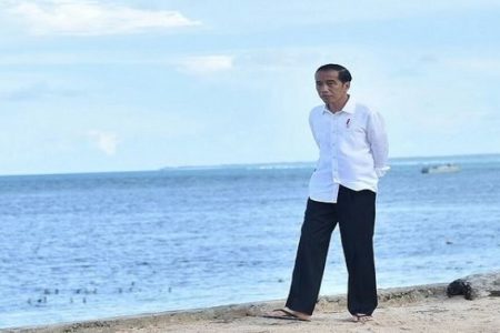 Presiden Jokowi Potensial untuk Diadili